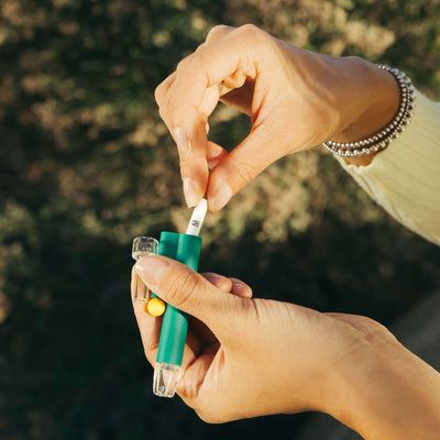 model changing filter on forest green one hitter