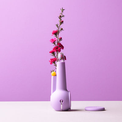 lavender pipe with flower against lavender backdrop. 