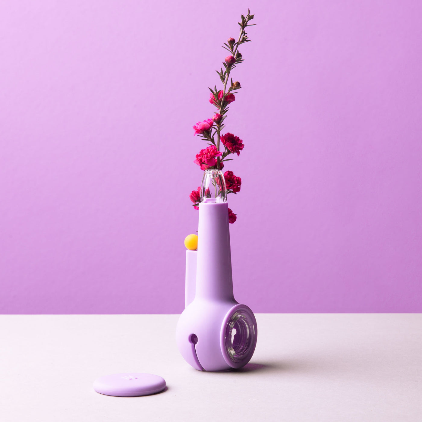 lavender pipe with flower against lavender backdrop. 