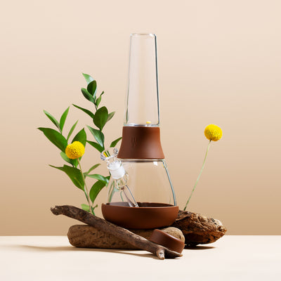 Leather Brown Bong with green plants, yellow flower, and wood logs, beige background