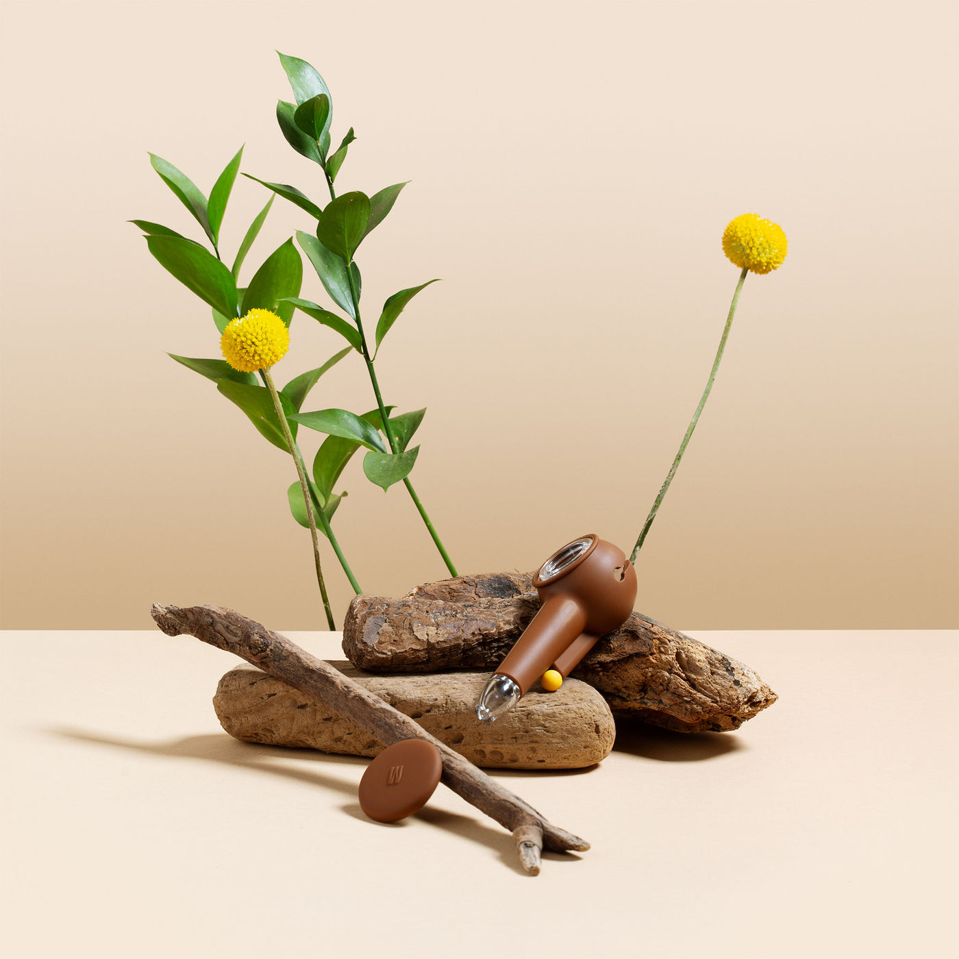 Leather Brown Pipe with green plants, yellow flower, and wood logs, beige background