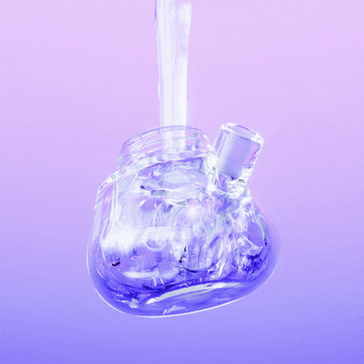 Shop the bubbler call to action button, the bubbler with water inside, purple backdrop