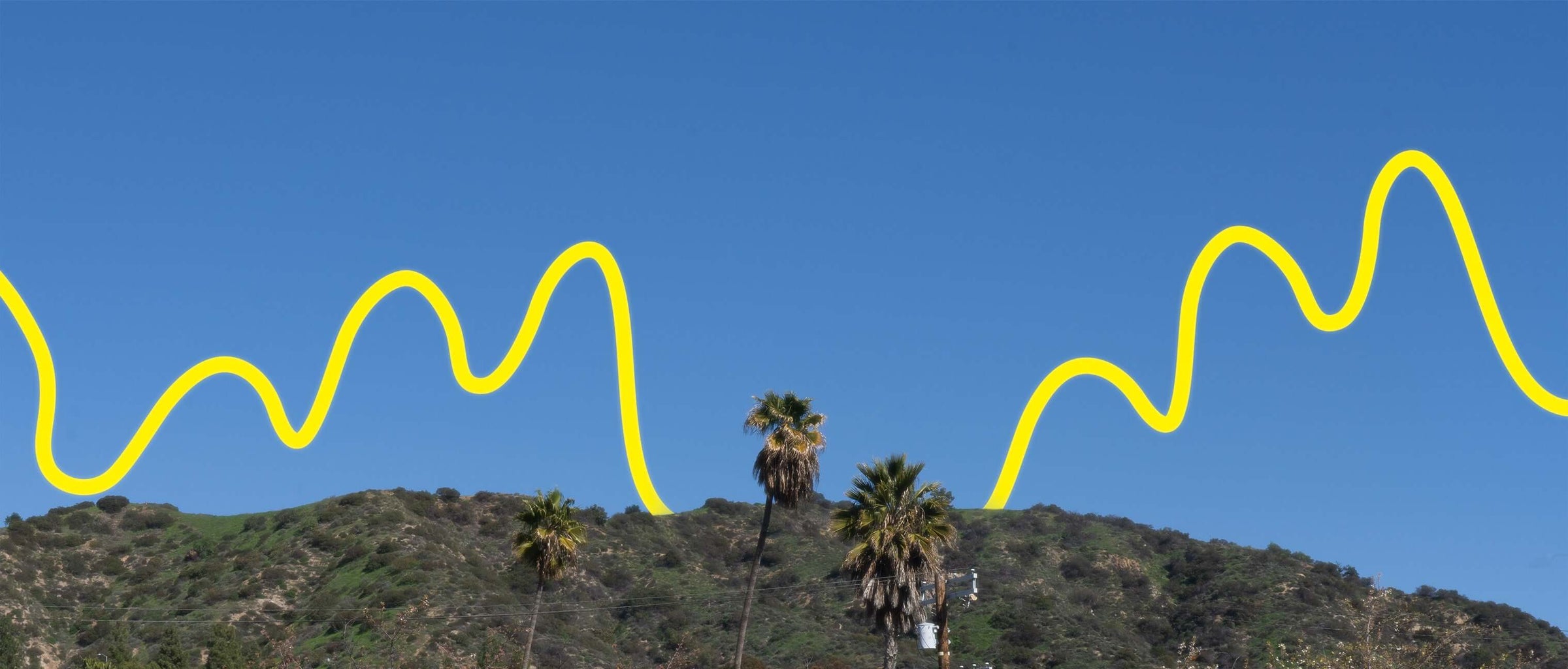 A banner of a hill with palm trees in Los Angeles, with vibrant yellow line art on it.